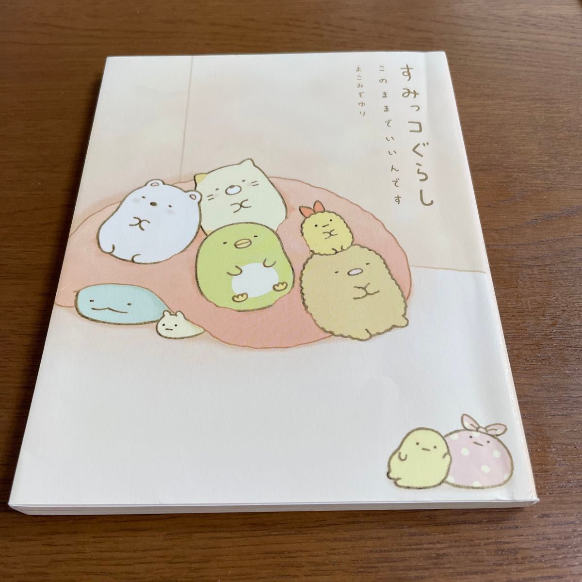 すみっコぐらし　本2冊セット　「このままでいいんです」 「ここがおちつくんです」