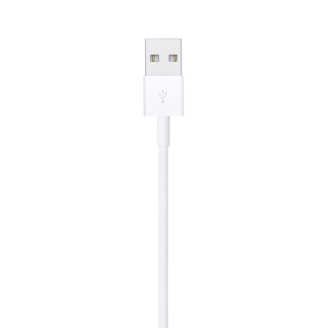 1円　Apple Lightning - USBケーブル（1 m）_画像4