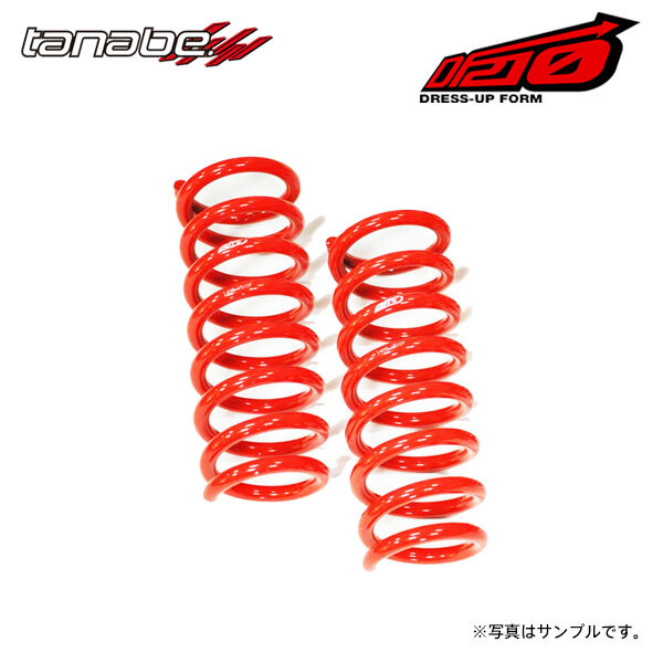 tanabe タナベ サステック DF210 ダウンサス リアのみ マークX GRX120 H16.11～H21.10 4GR-FSE NA FR 250G Sパッケージ_画像1