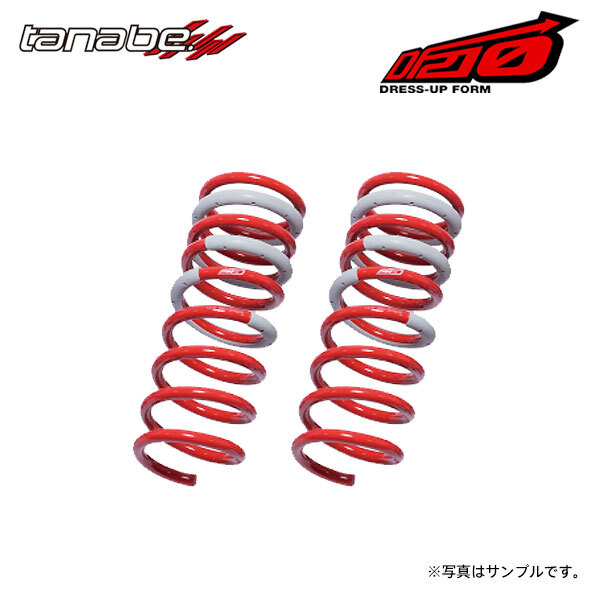 tanabe タナベ サステック DF210 ダウンサス リアのみ レクサス IS250 GSE20 H17.9～H25.8 4GR-FSE NA FR_画像1