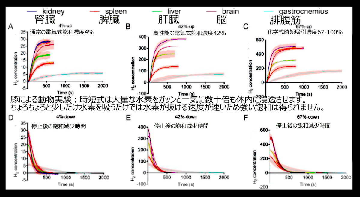 高速時短水素吸引・どこでも使える・１回1.8L・1000000ｐｐｍ（100％）・232L水素付セットモデル_画像10