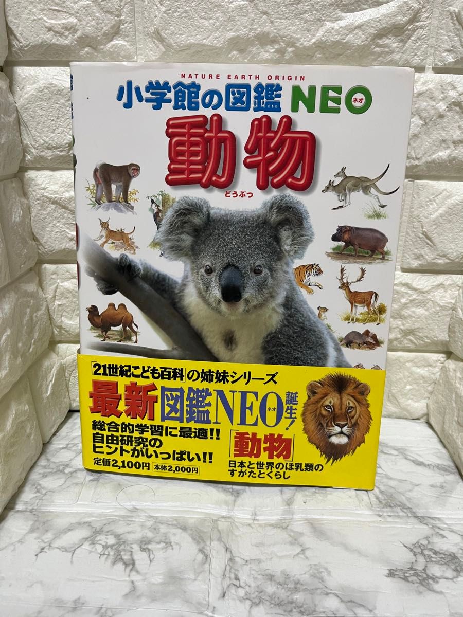 中古　画像ママを発送　小学館の図鑑NEO  動物