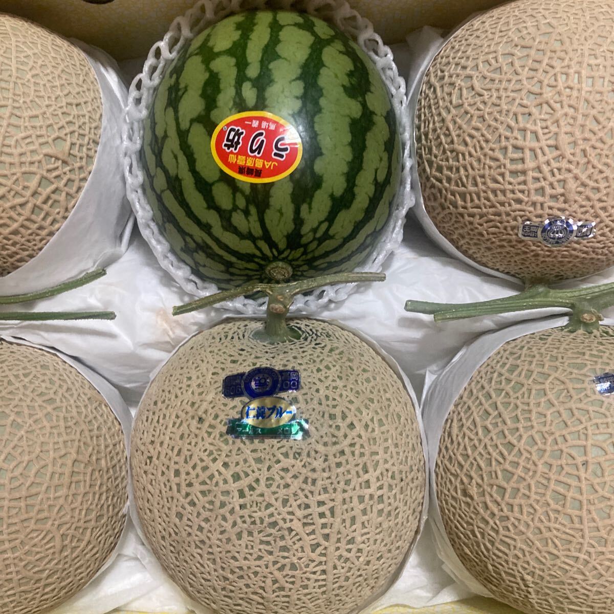  greenhouse melon . small sphere ...