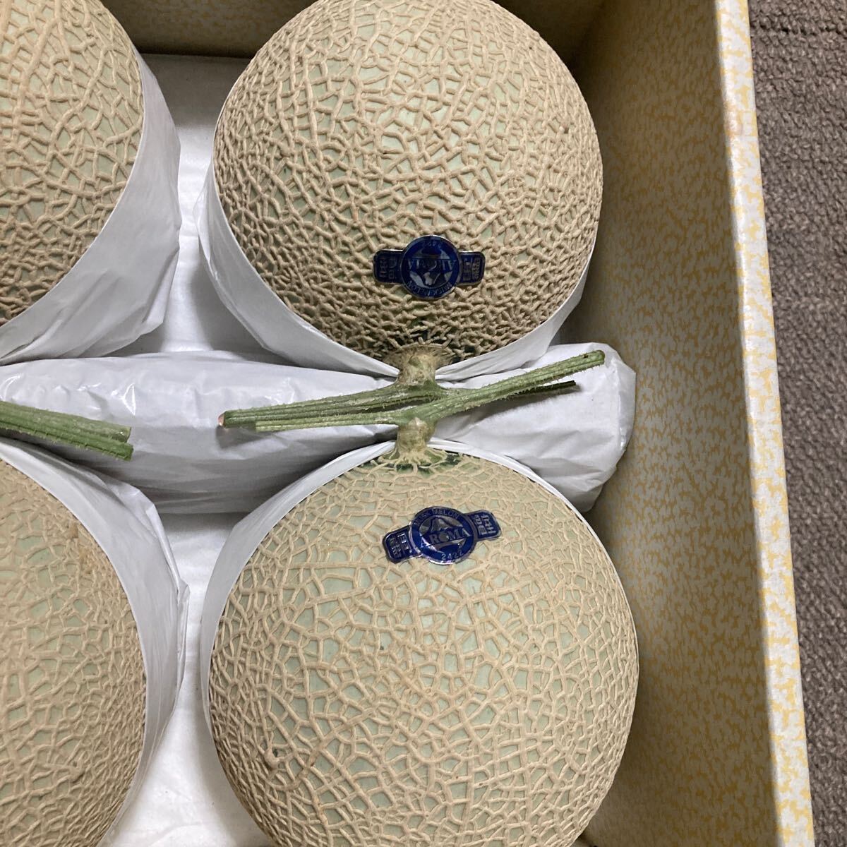  greenhouse melon Shizuoka prefecture production MELOX