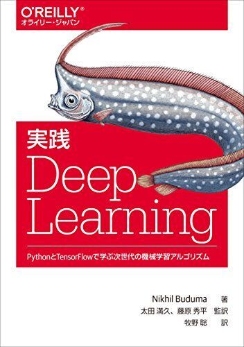 [A11178791]実践 Deep Learning ―PythonとTensorFlowで学ぶ次世代の機械学習アルゴリズム (オライリー・ジャパン_画像1