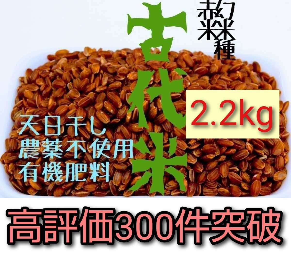 送料無料【天日干し】赤米2.2kg【農家直売】玄米 無農薬 有機肥料 発芽玄米 マクロビ オーガニック 自然農法 古代米 五穀米 黒米_画像1