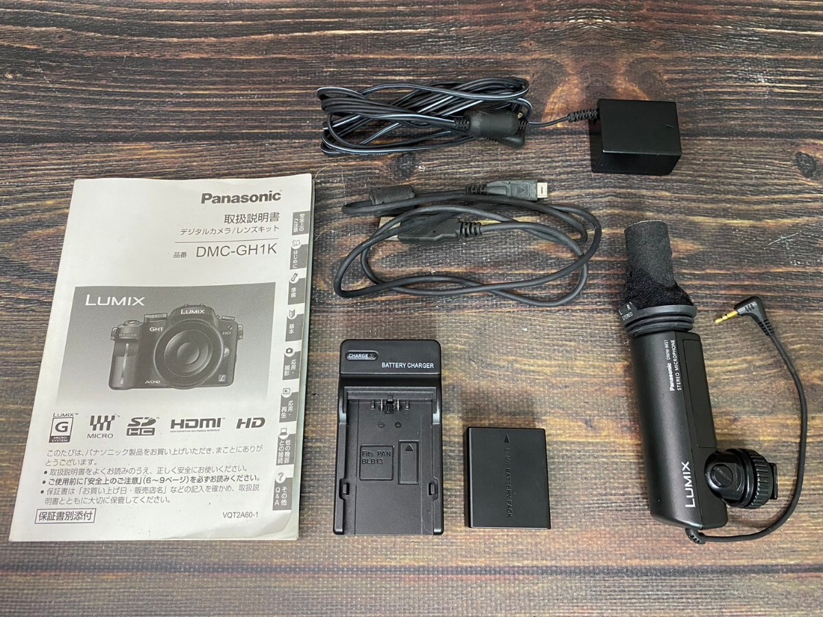 Panasonic パナソニック LUMIX GH1 ボディ ミラーレス一眼カメラ #18_画像9