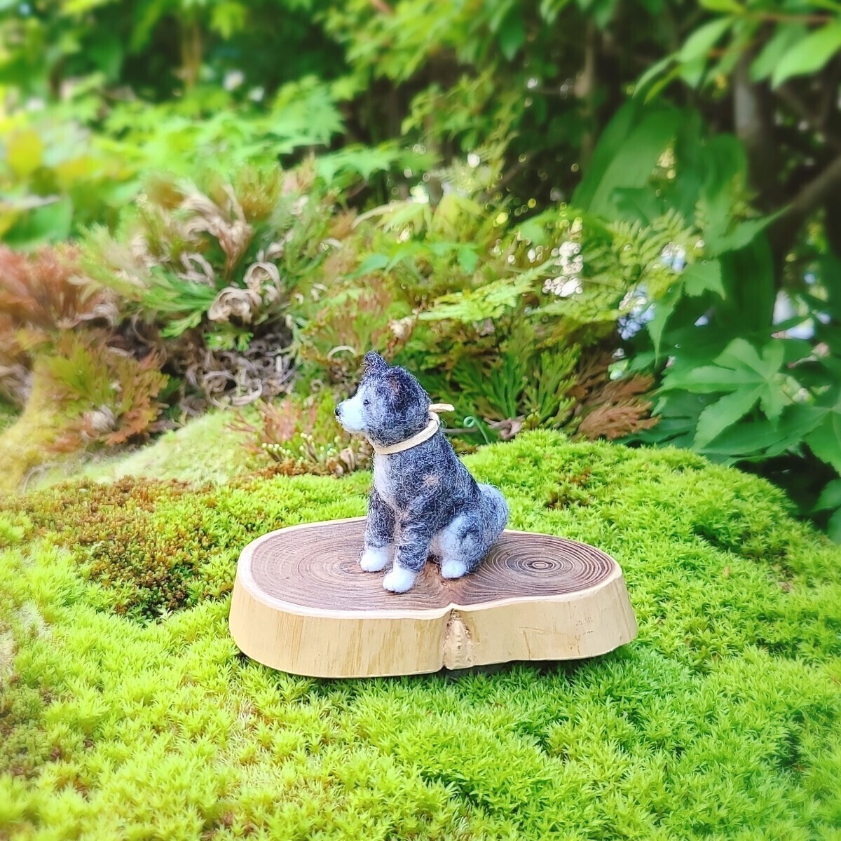 お座り秋田犬 ①虎 一体のみ 豆わんこ 羊毛フェルト ハンドメイド ドールハウス ミニチュア ブライス ペット_画像2