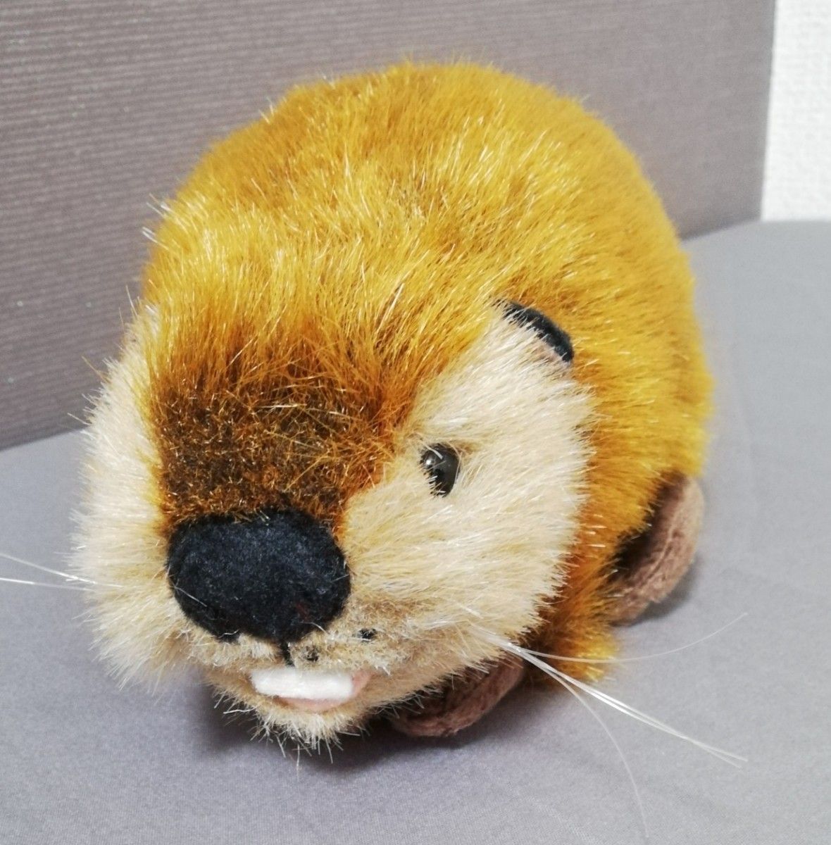 SUPER BEAVER スーパービーバーちゃん ぬいぐるみ 公式グッズ SUPER BEAVER スーパービーバーちゃん ぬいぐるみ 公式グッズ