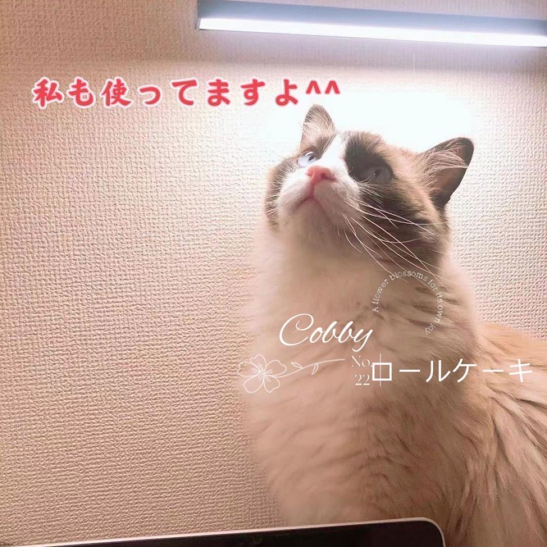 ファーミネーター ブラシ 抜け毛 猫用の画像9