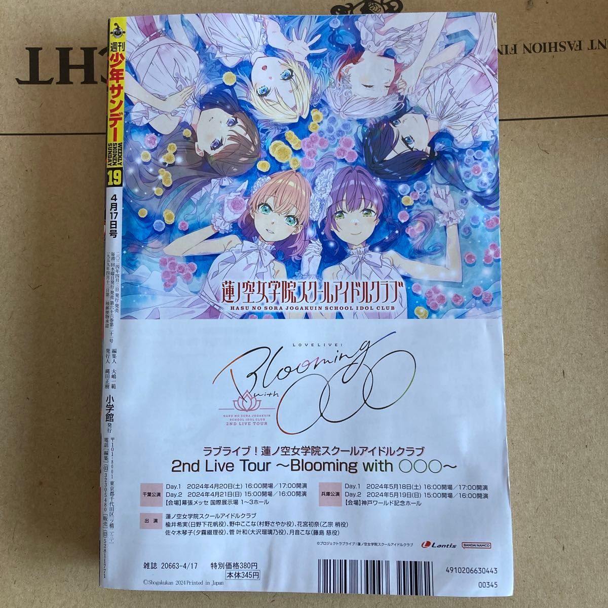 週刊少年サンデー　2024年　19号　日向坂46　小坂菜緒