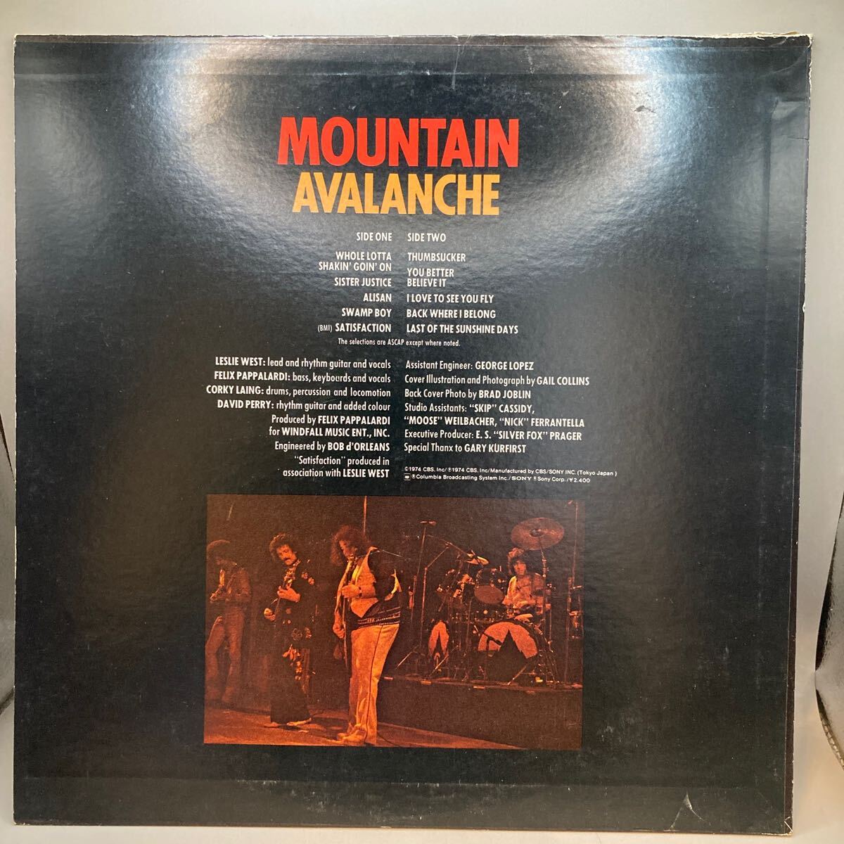 美盤 LP レコード MOUNTAIN AVALANCHE マウンテン 雪崩 _画像2