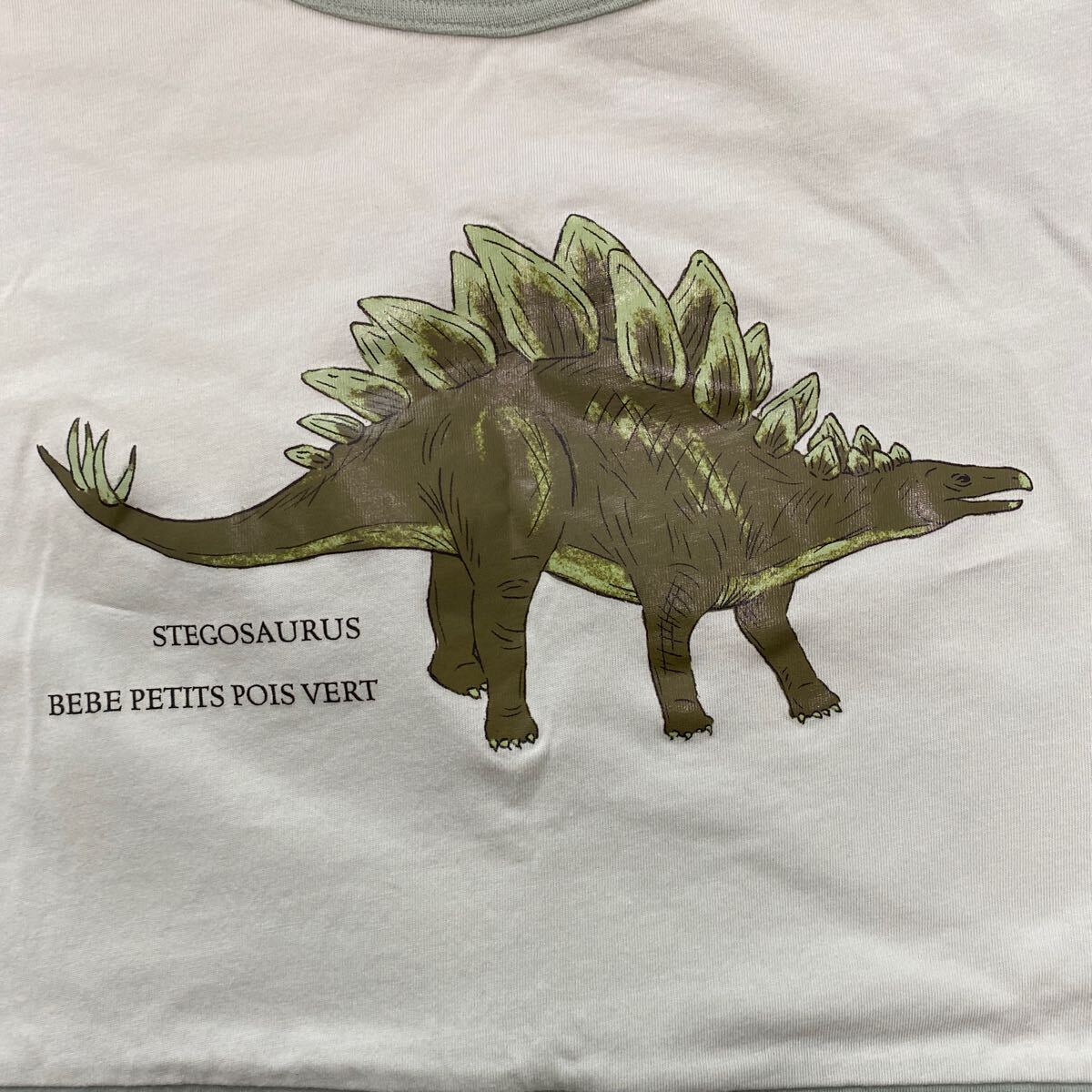 Tシャツ BEBE べべ 150 140 ユニクロ 恐竜 の画像3