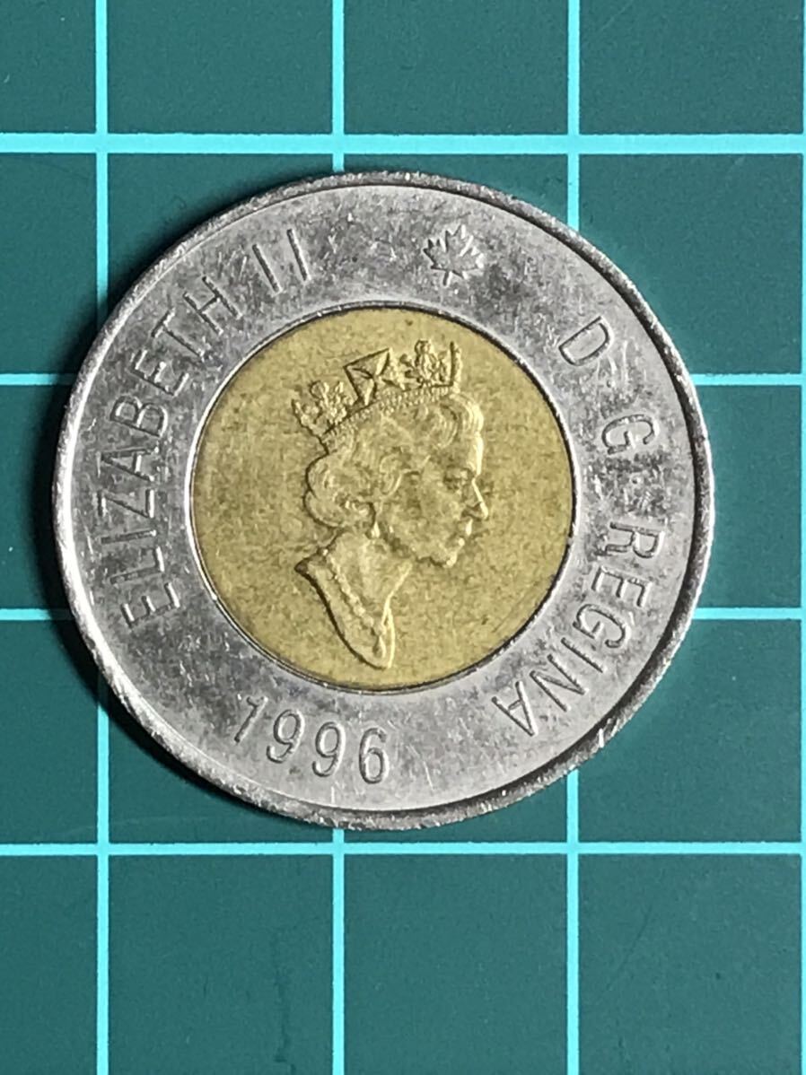 1996年 カナダ CANADA 2ドル 2DOLLARS エリザベスⅡ DG REGINAバイメタル硬貨 熊　くま　クマ　ベア_画像2