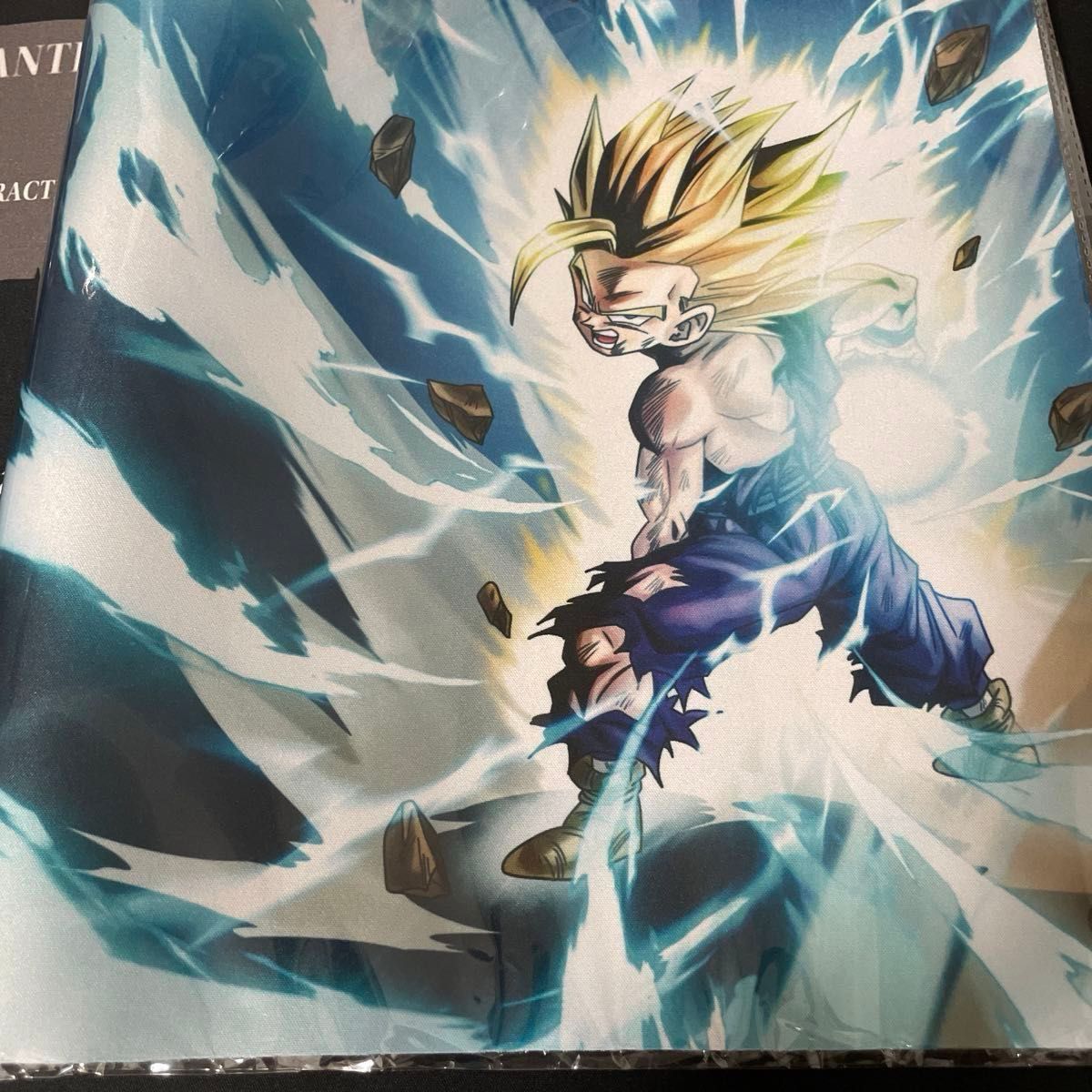 ドラゴンボールフュージョンワールド オフィシャルプレイマット ドラゴンボールフュージョンワールド オフィシャルプレイマット