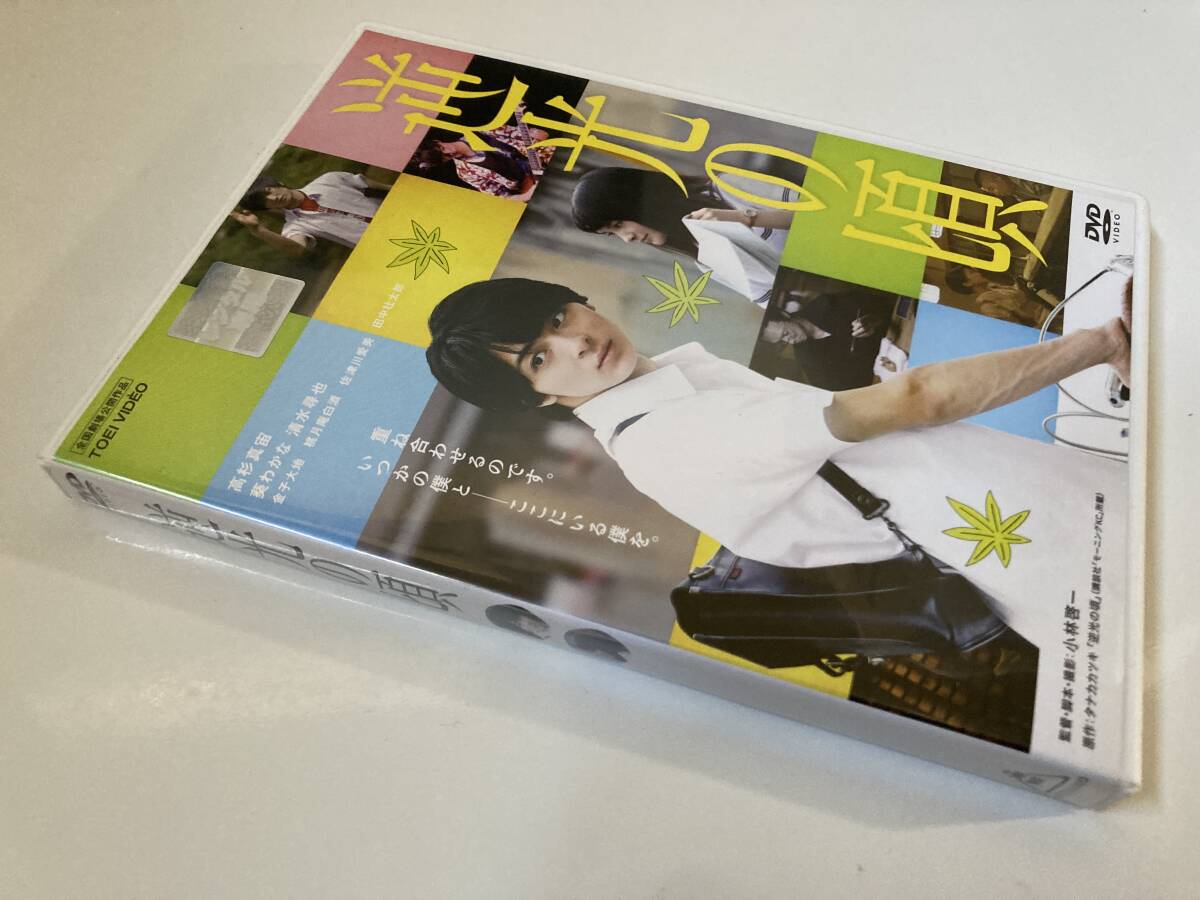 DVD ◆レンタル版◆「逆光の頃」 高杉真宙, 葵わかな, 小林啓一　_画像4