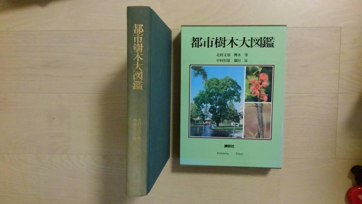 「都市樹木大図鑑」北村文雄・與水肇・中村恒雄他 、講談社 、昭 57年発行　定価35,000円　545P　30㎝　本体背ヤケ_画像1