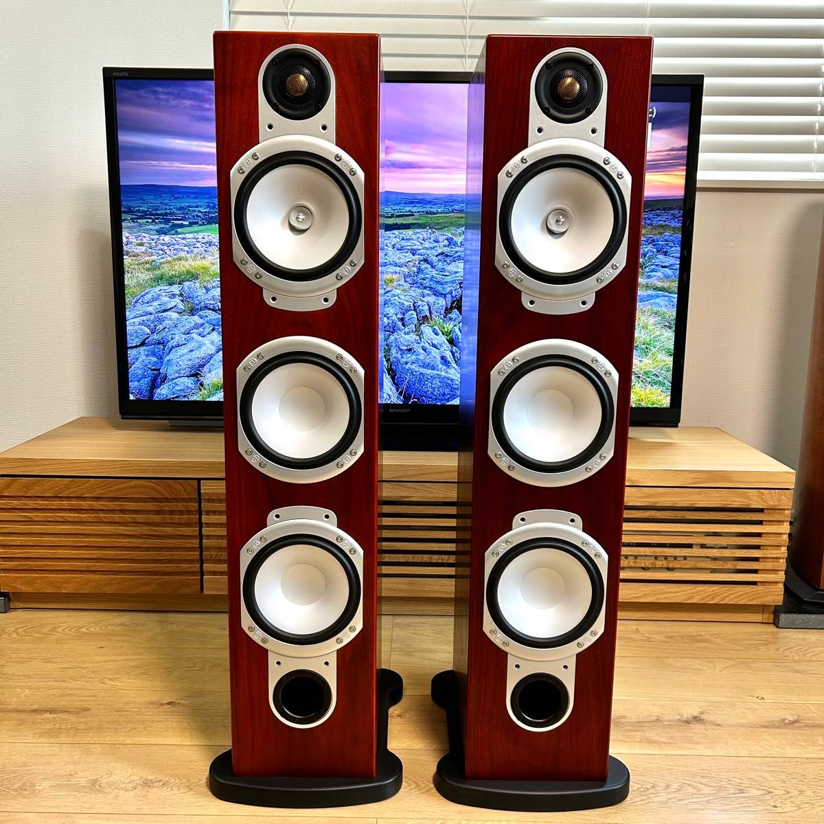 【美品】MONITOR AUDIO Silver-RS8 モニターオーディオ　ペアNo.2