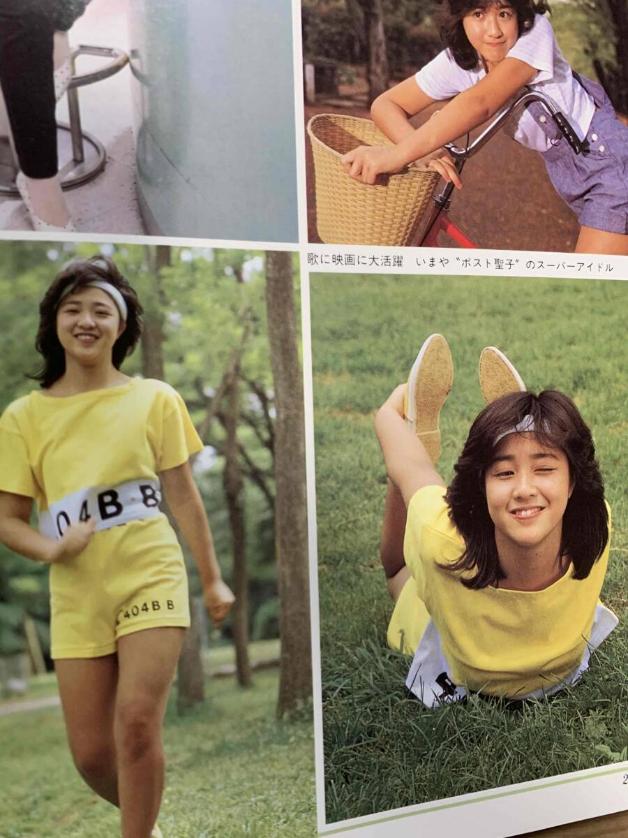 アイドル40年 原節子から菊池桃子まで デラックス近代映画 1985年初版の画像9
