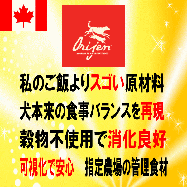 ■355円～【オリジン ドッグフード オリジナル】100g 正規品　お試し　穀物不使用のウルトラプレミアムドッグフード　犬本来の食事を再現_画像2