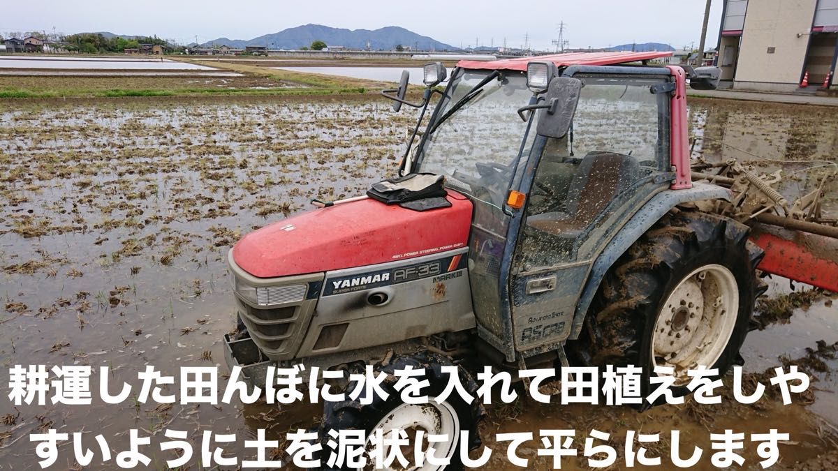 特別栽培 新潟の高級米 新之助 玄米 30㌔  新潟県産 田植え後農薬は除草剤のみ 配達時間帯指定OK 只今朝採り胡瓜サービス中！