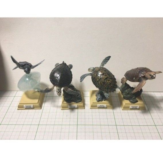 ネイチャーテクニカラー 日本のうみがめ 全4種類 日本ウミガメ ネイチャーテクニカラー 日本のうみがめ 全4種類 日本ウミガメ