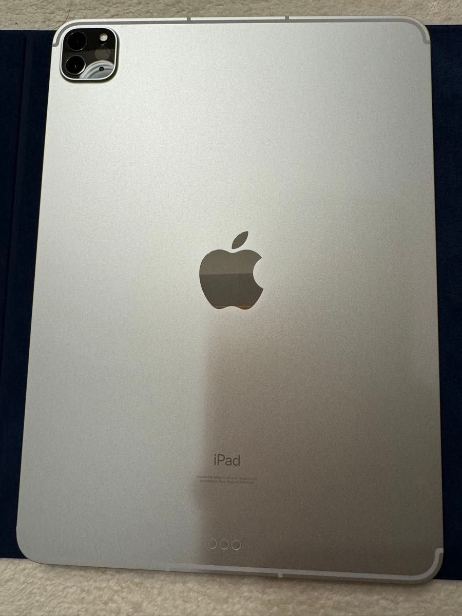 iPad Pro （11インチ）（第3世代）　セルラーモデル　MHW83J/A 256GB シルバー