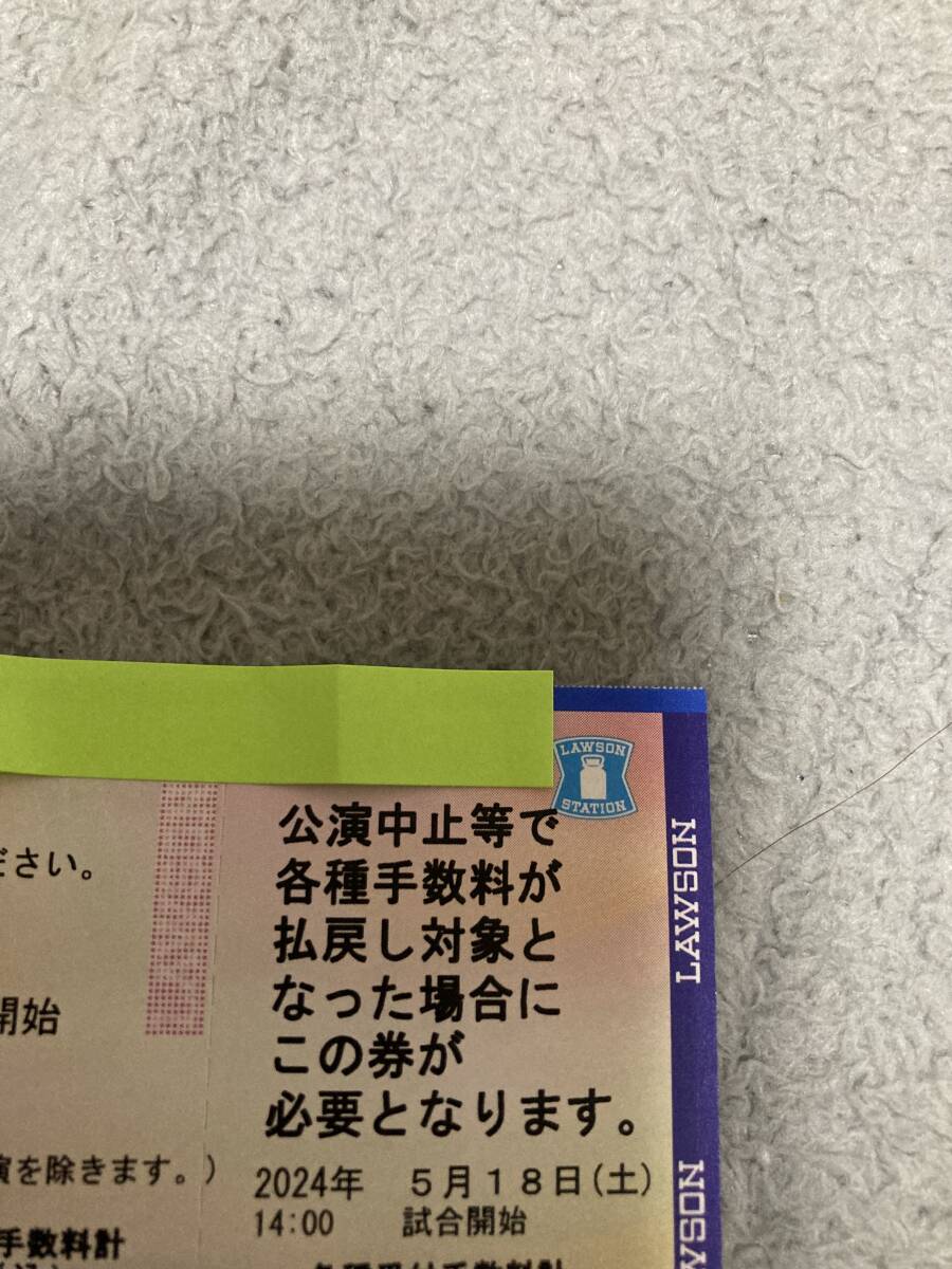 5月18日　ピンクフルデー　みずほPayPayドーム　日興証券　ダブルシート　２枚セット_画像2