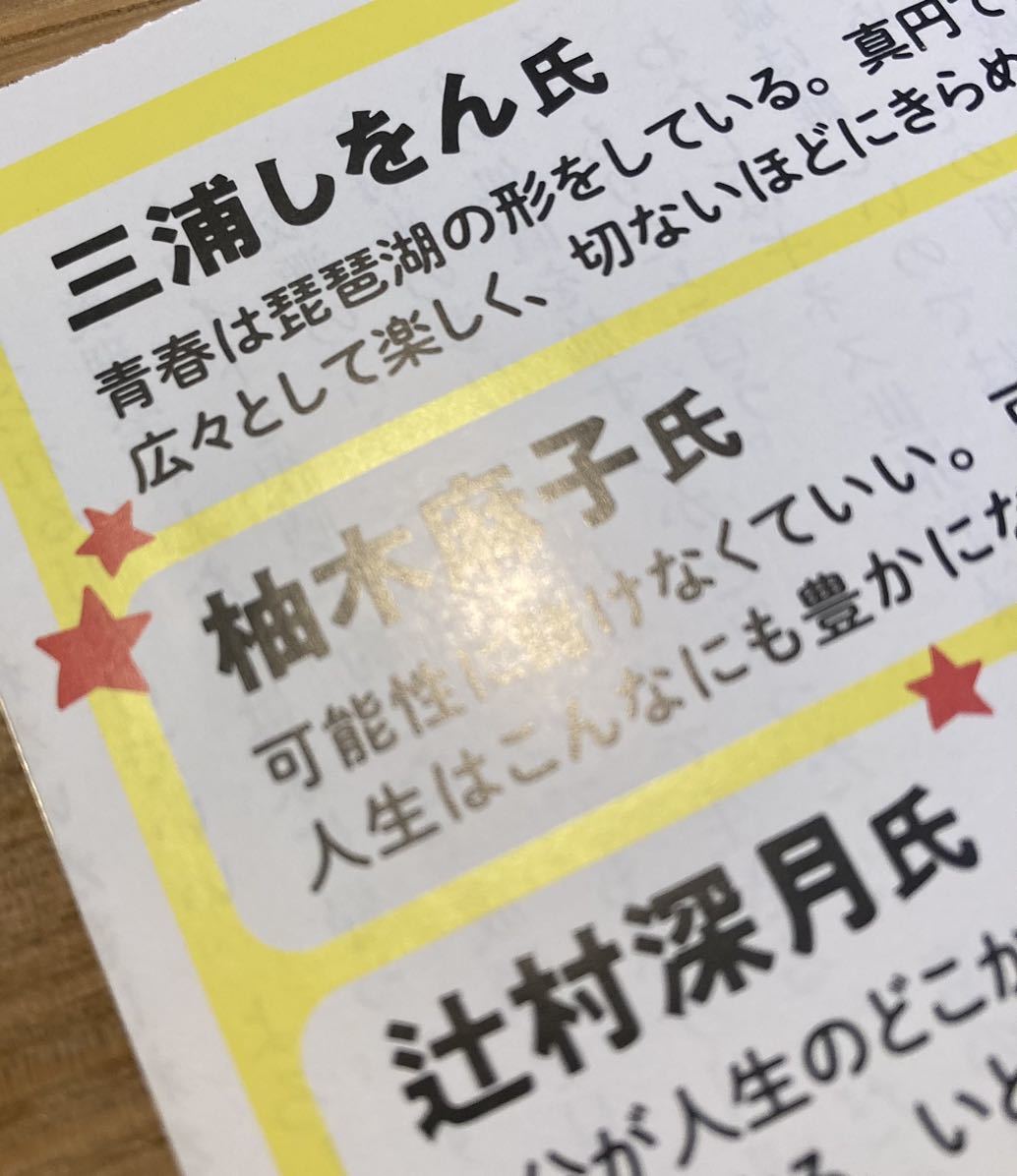 【非売品】成瀬は天下を取りに行く ガイドブック【新品】宮島未奈 小説 10万部突破記念 西武ライオンズ プロ野球 NPB【配布終了品】レア_画像4