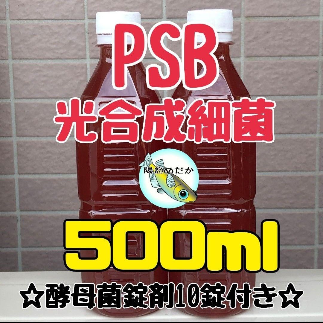 【PSB 光合成細菌500ml】 酵母菌錠剤10錠つき 培養可能なセットです♪【陽悠めだか】