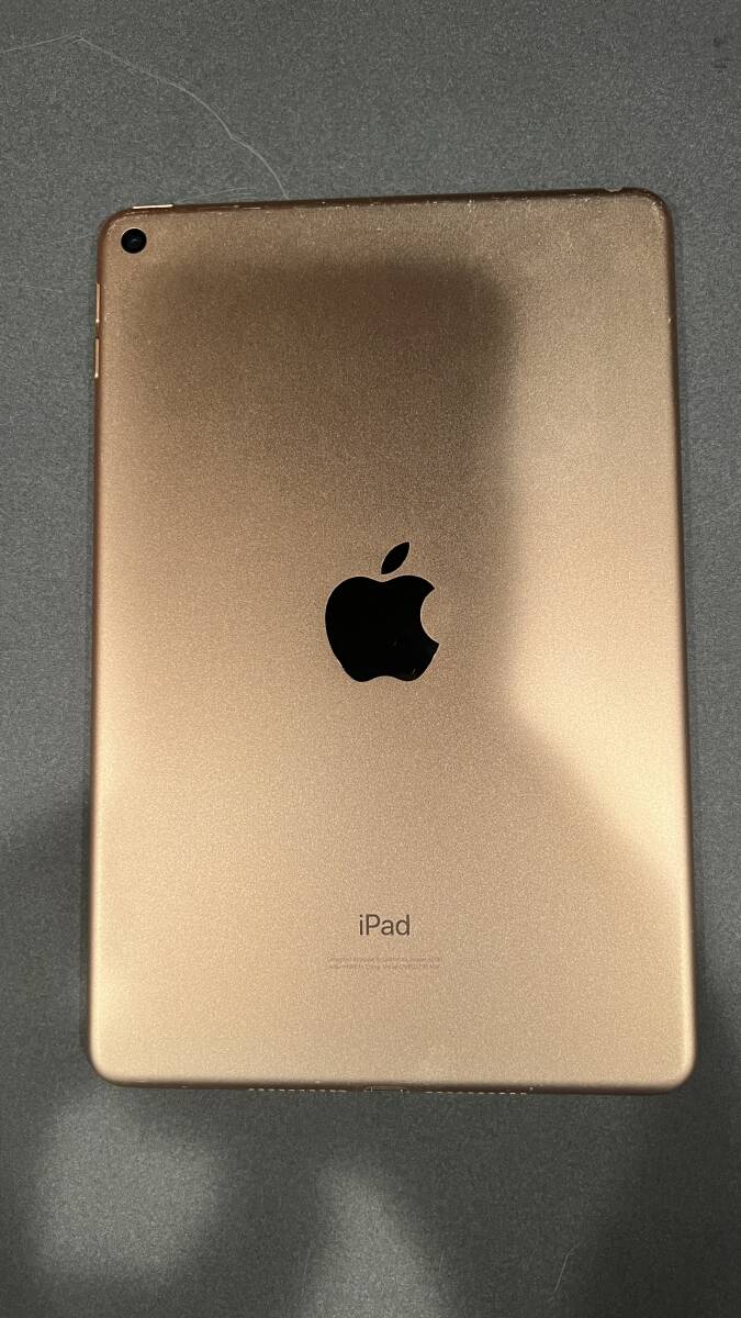 iPad mini 5 64GB ゴールド Wi-Fi 第5世代 MUQY2J/Aの画像3