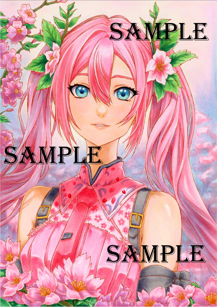  hand-drawn illustrations Sakura Miku A4