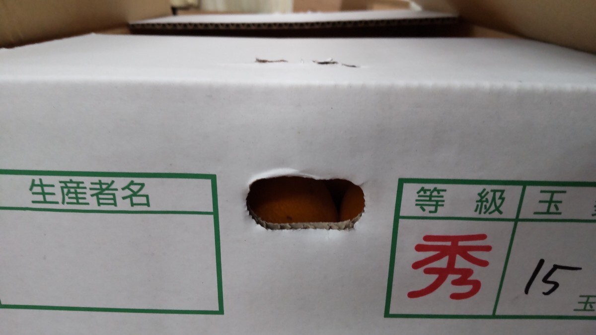 ③ kilo free shipping! un- . fire deco pon Kumamoto prefecture production 