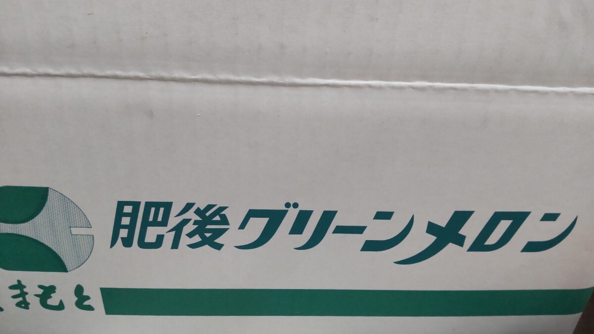 肥後グリーンメロン　7玉入　４キロ満杯　送料無料!! 甘さ抜群_画像4