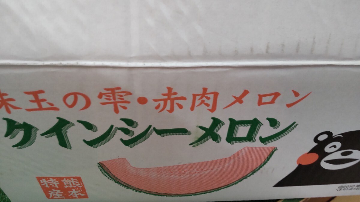 熊本産　クインシー赤肉メロン６玉入　送料無料！！_画像4