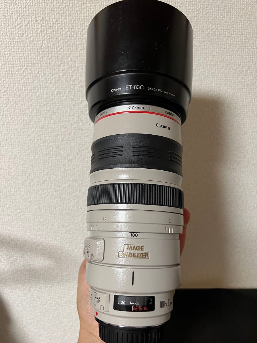 Canon EF 100-400 F4.5-5.6 L IS 