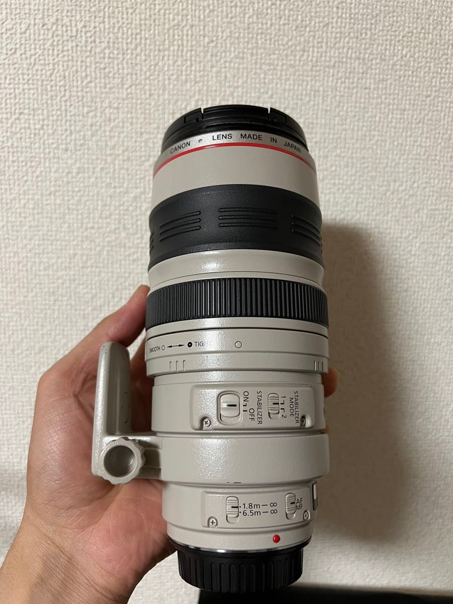 Canon EF 100-400 F4.5-5.6 L IS 