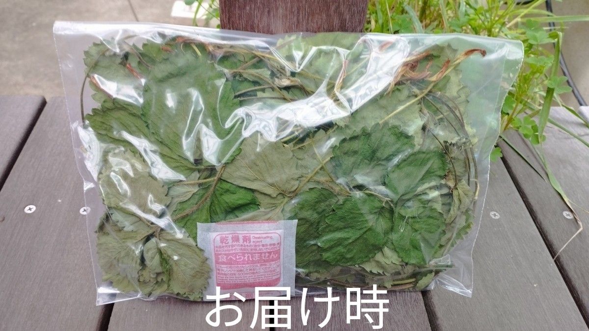 無農薬 乾燥いちごの葉茎　約50g 小動物のおやつ