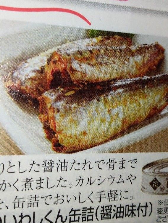 恒食 ワールドヘイセイ 本物のいわしくん醤油味付 200gx9缶セット