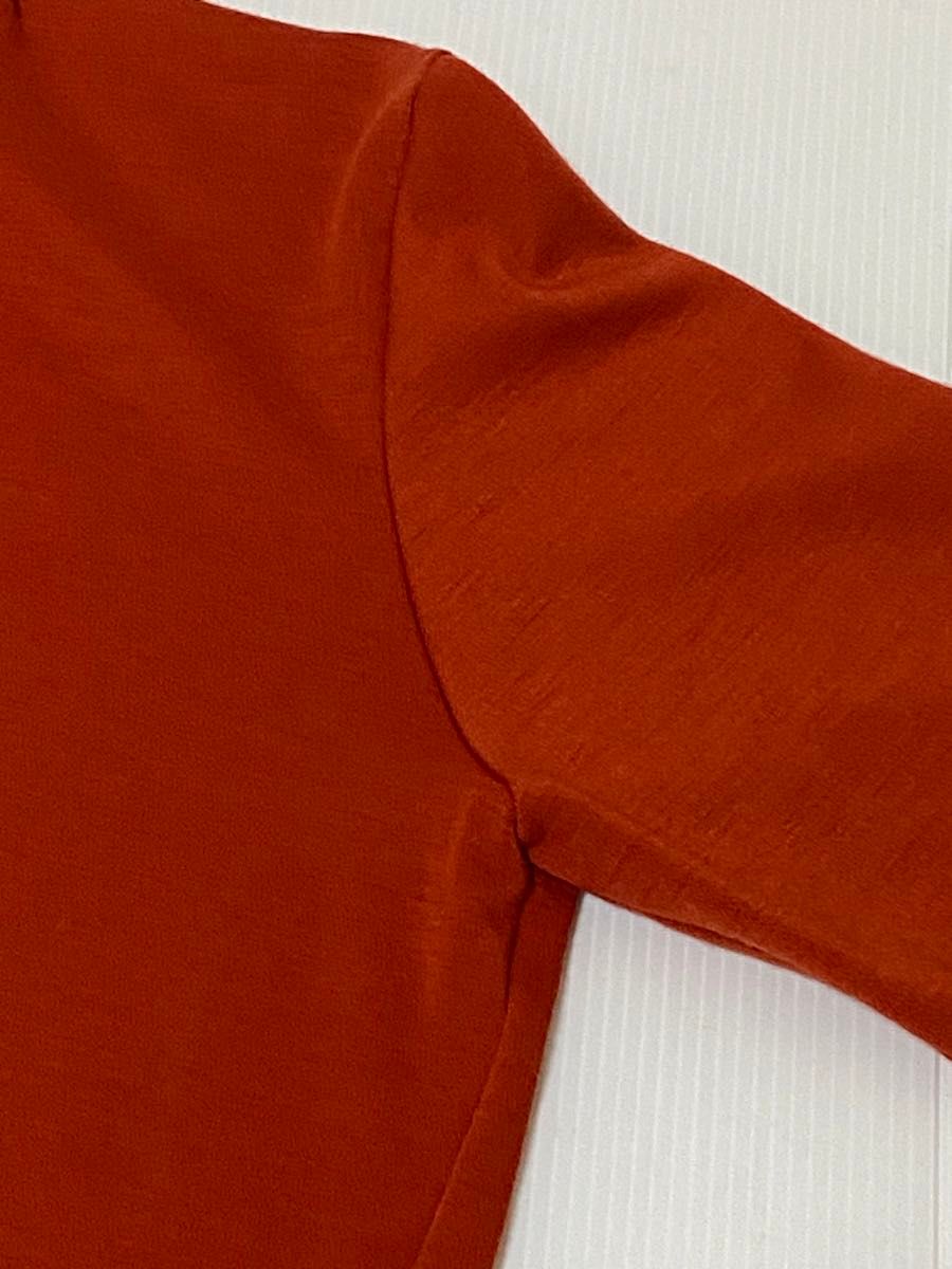 DAKS LONDON ダックスロンドン　長袖シャツ ブラウス　赤系　ウール100% 部分使い絹　レディース　素敵なシルエット美品