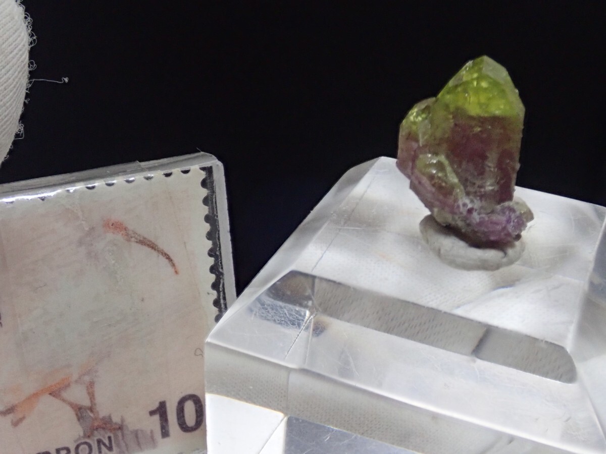 【完全結晶】バイカラー　カナダ産　宝石質　ベスビアナイト　ベスブ石　原石　標本_画像7