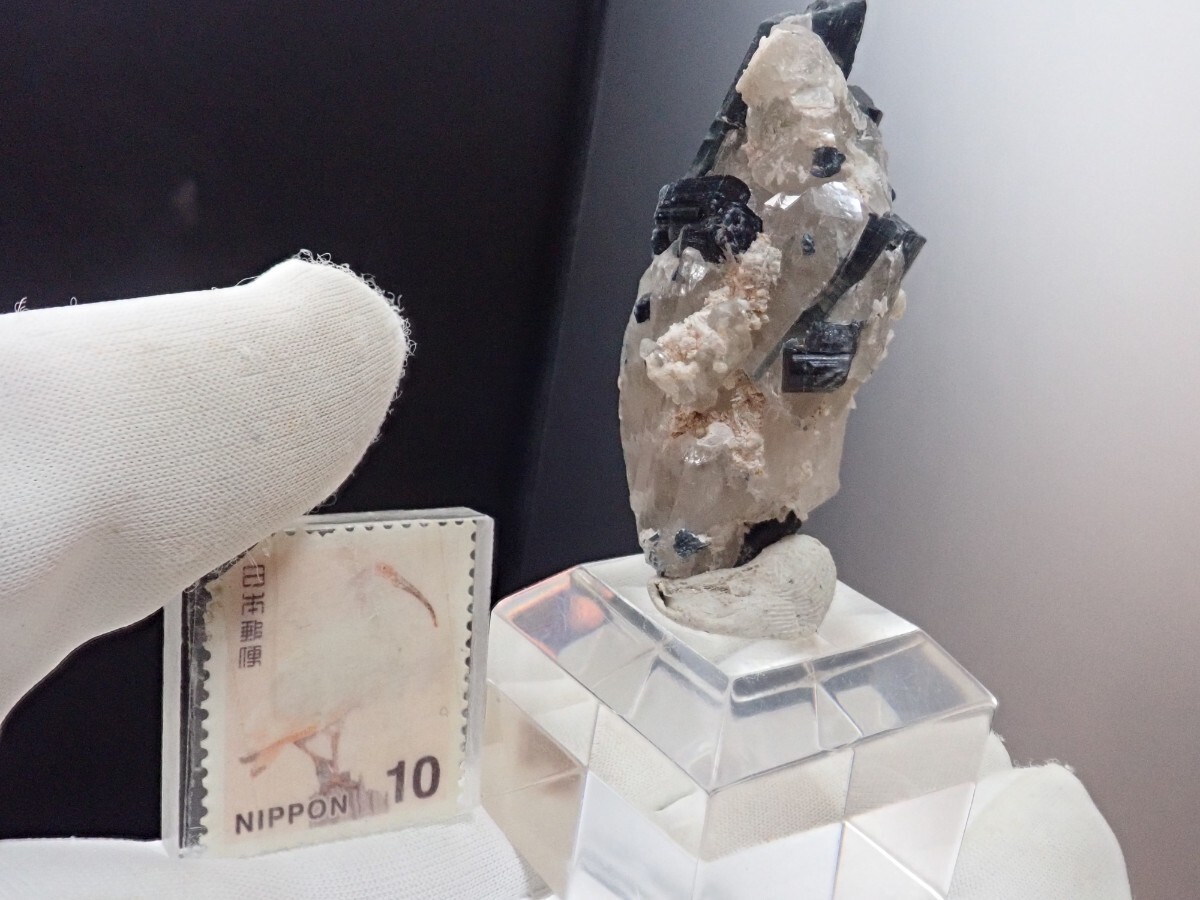 【共生美】トルマリンonクォーツ　リシア電気石&水晶　原石　標本_画像10
