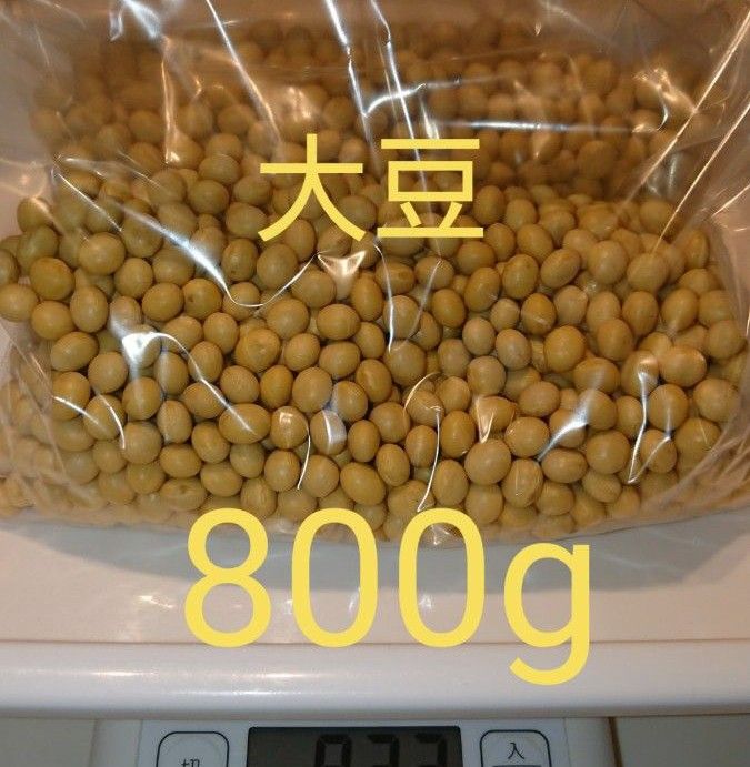 自家栽培 大豆 800g 家庭用 味噌 加工用