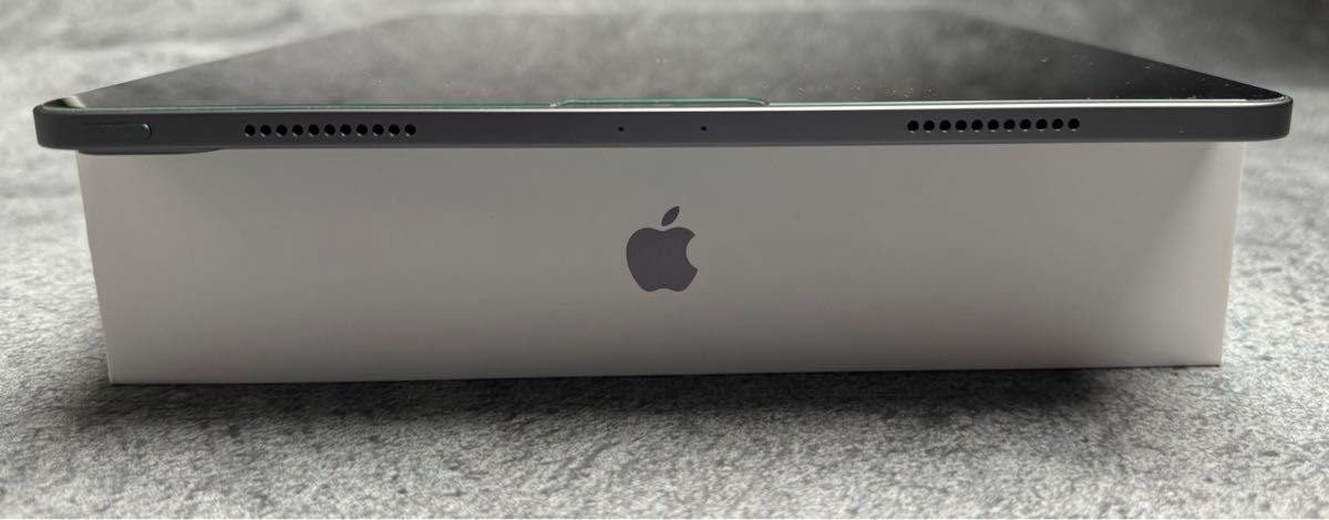 iPad Pro12.9インチ 第5世代 1TB メモリ16GB ApplePencil2 スペースグレイ カバー2種