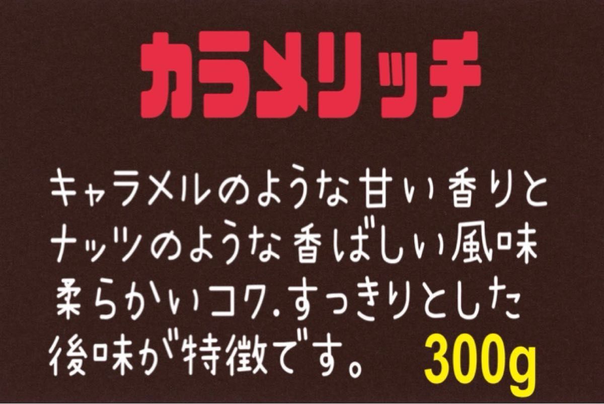 ⑦ カラメリッチ(ブラジル) 自家焙煎 珈琲豆  (100g×3)