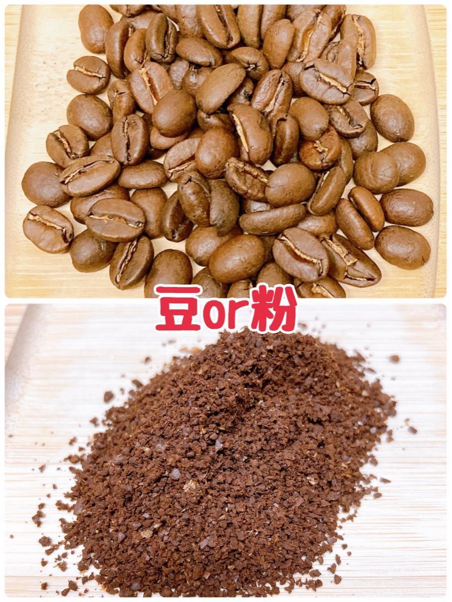 ⑪ カフェピューマ(グァテマラ)自家焙煎 珈琲豆  (100g×3)