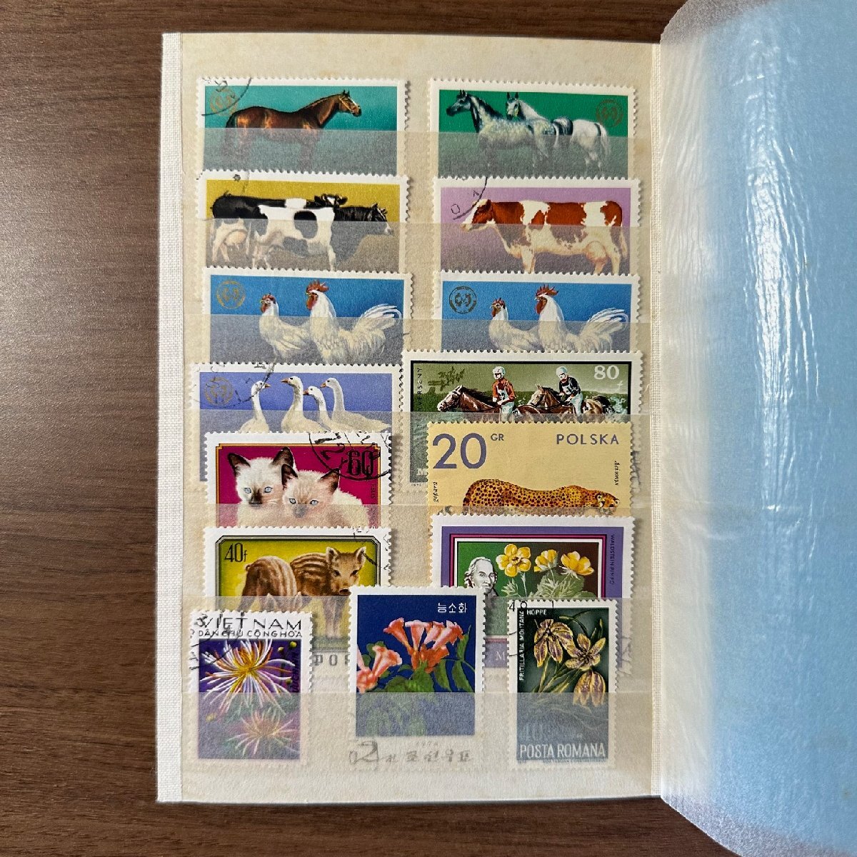 ◇◆外国切手◆◇お宝探し おまとめ希少切手 1冊組 収集家放出品 99の画像10
