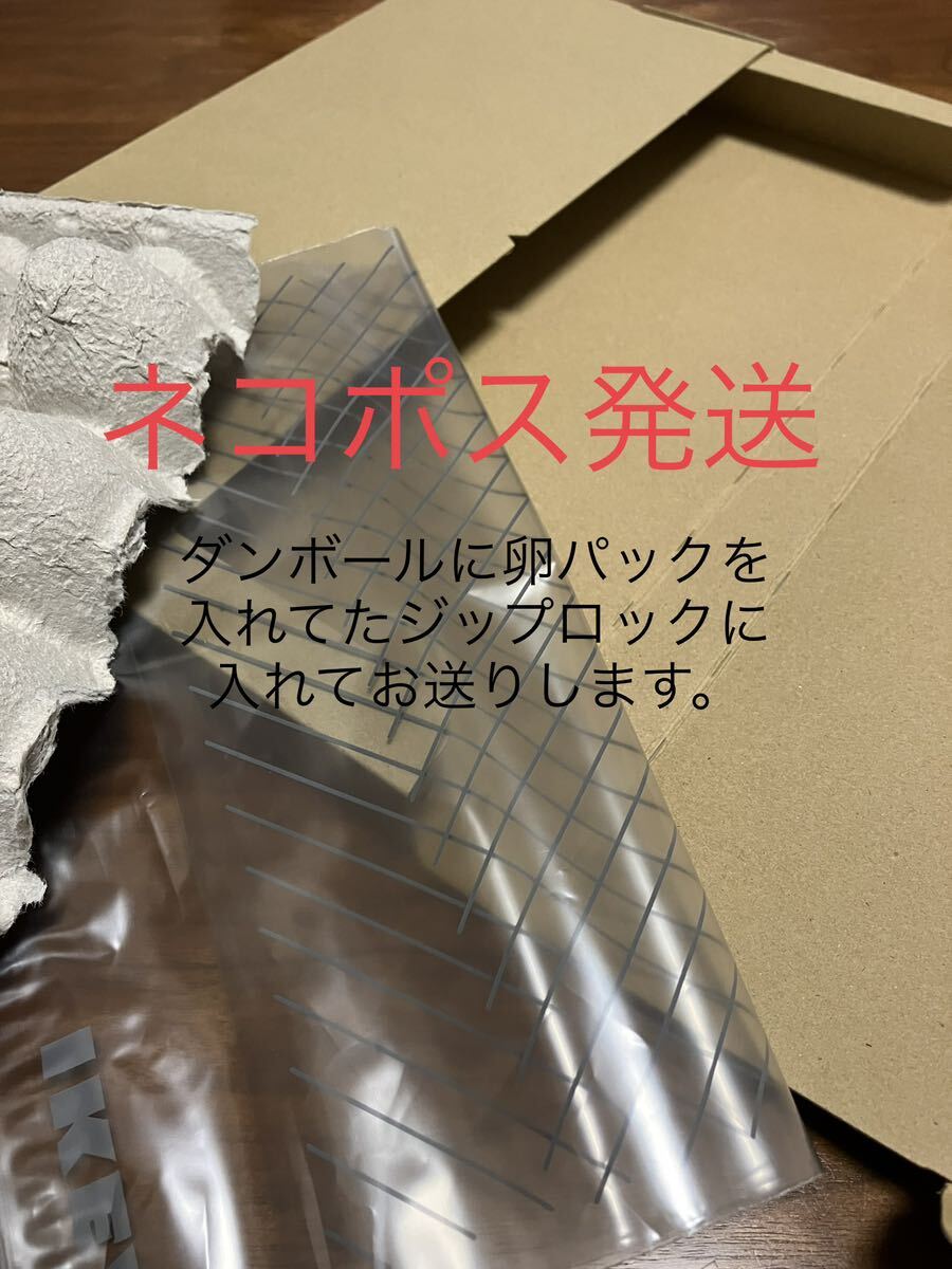 成虫雄40:雌80計120匹+αデュビア 自家消費用養殖 おまけ自家製フード付き　繁殖用にも　_画像2