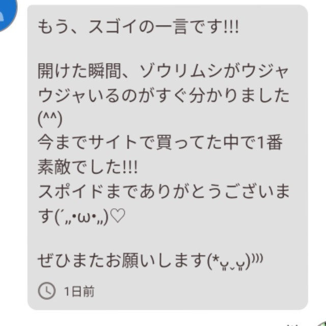 史上最強★絶対の自信あり★密度が違います★簡単培養ゾウリムシ800ml★ペットボトルで爆殖中！生クロレラも出品中！_画像2