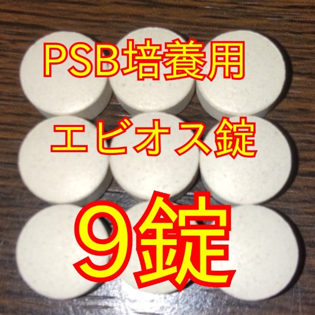 送料無料★自家培養★高濃度光合成細菌PSB1000ml＋培養用エビオス錠９錠★生クロレラも出品中★_画像2